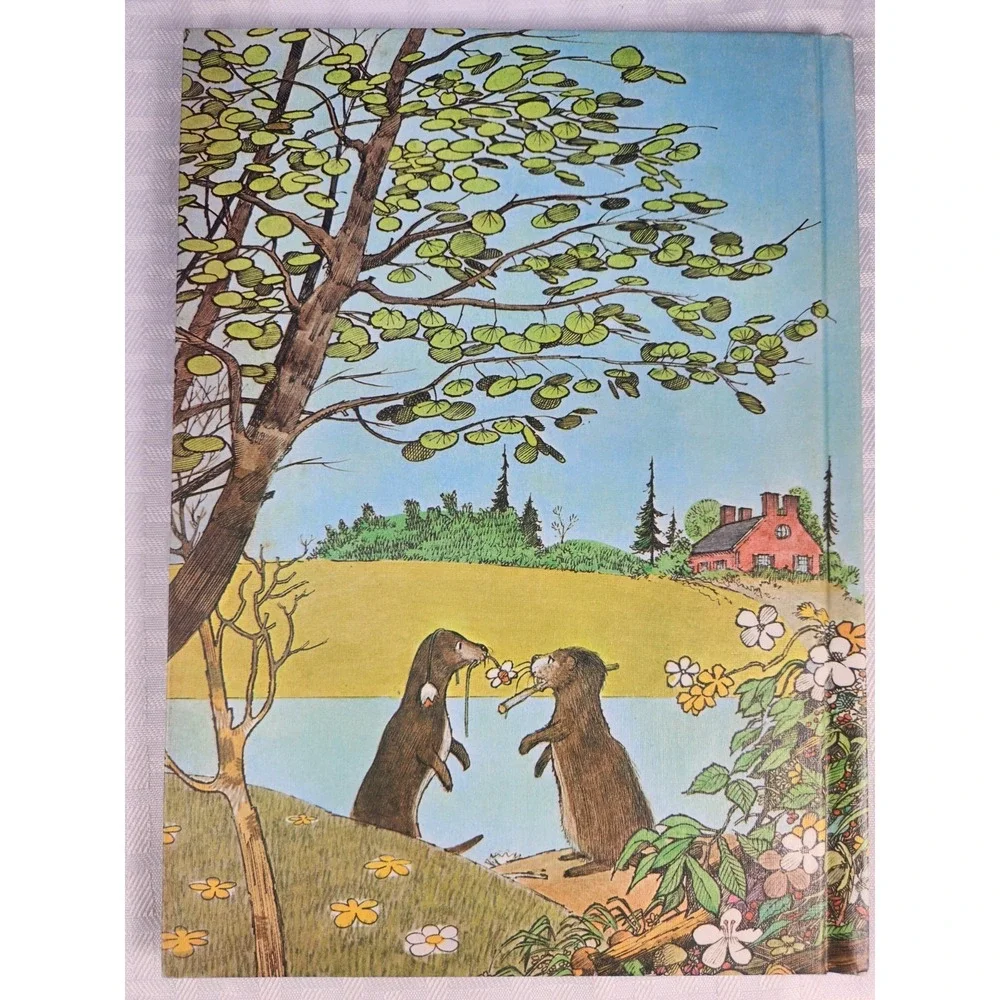 VINTAGE 1969 CHILDREN'S BOOK 'HOW FLETCHER WAS HATCHED' by WENDE and HARRY DEVLI